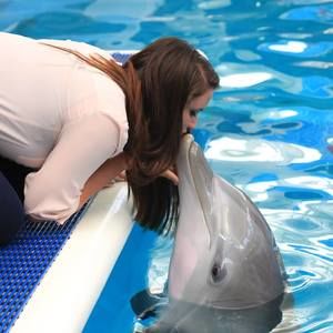 Meet your Posher, Haley